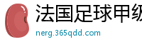 法国足球甲级联赛